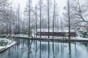 雪景