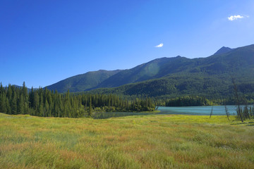 喀纳斯月亮湾森林草地