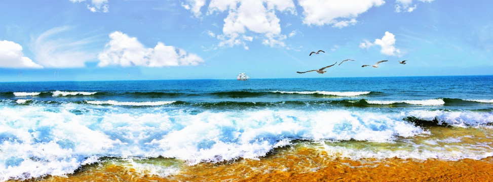 大海海鷗裝飾畫