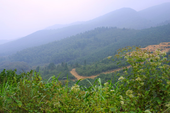 青山云雾