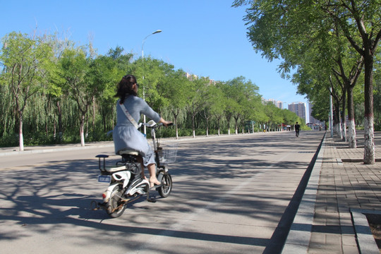 燕山大学校区道路