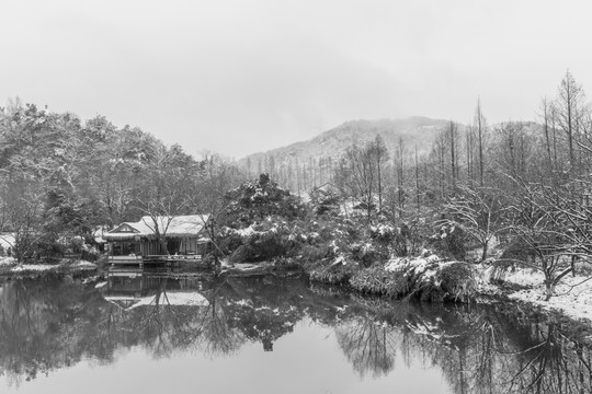 西湖老照片