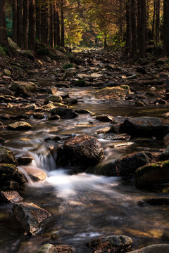 山水风光