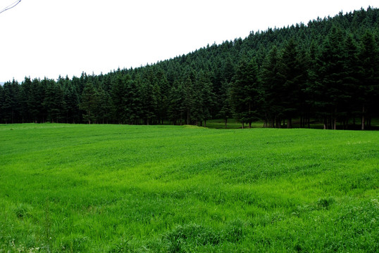 草原山川