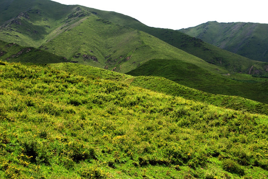 草原山川