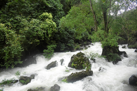 青山绿水