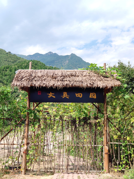 金祖山女真田园