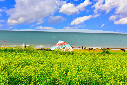 青海湖风光