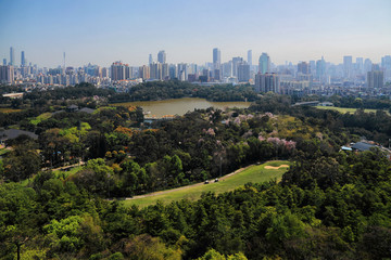 广州白云山麓湖春色