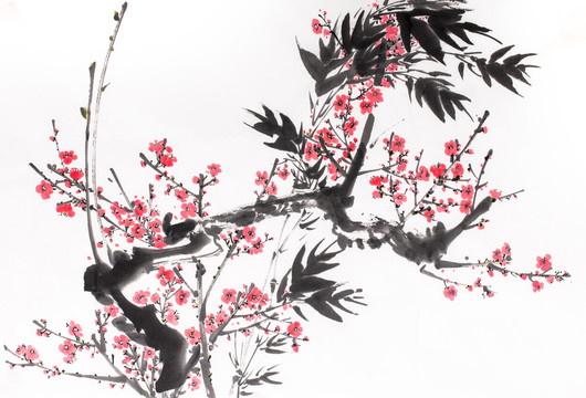 國(guó)畫(huà)梅花