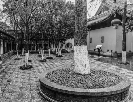 春雨寒山寺