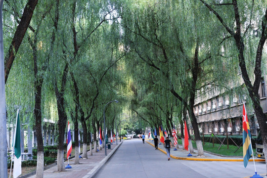 西安交通大学校园