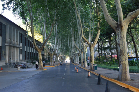 西安交通大学校园