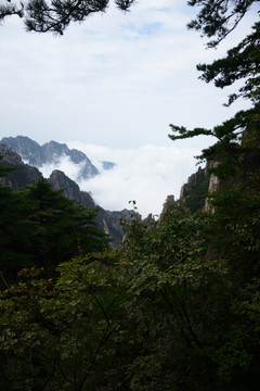 黄山山峰