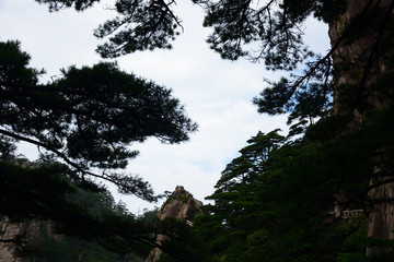 黄山风景