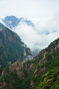 黄山实拍