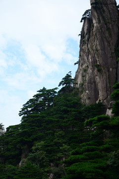 黄山景色