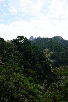 黄山景色