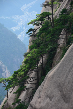 黄山风景