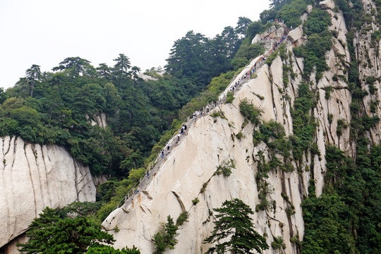 华山苍龙岭