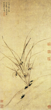 周天球蘭花圖