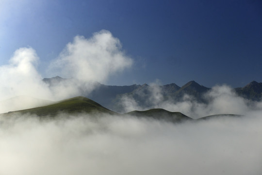 云山雾海