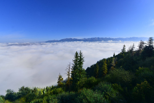 照壁山