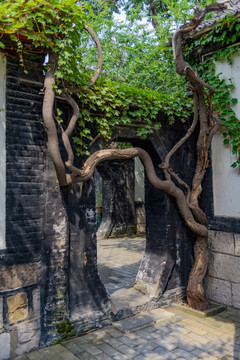 蒲松龄故居庭院