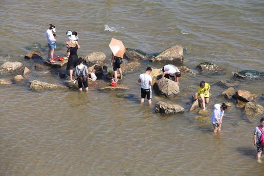 海边旅游的人