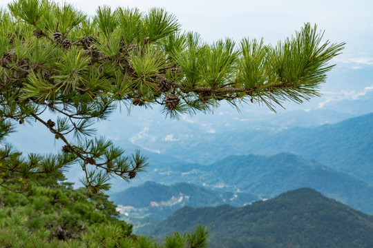 大别山