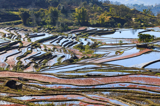 云南旅游