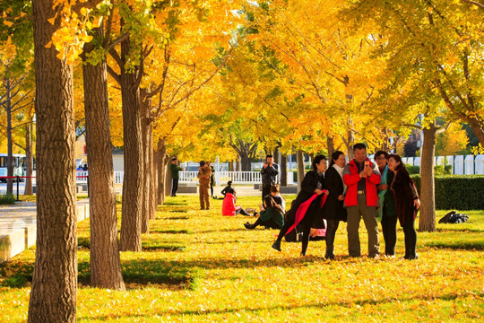 奧林匹克公園