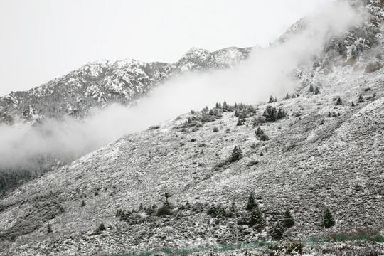 雪山