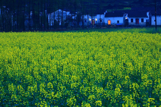 安徽黟县