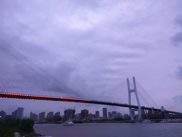 上海南浦大橋
