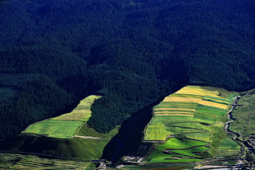 田园风光