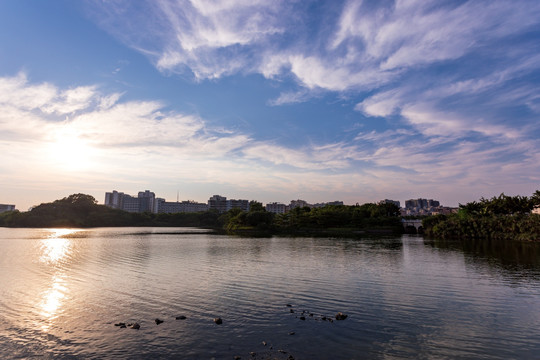 湖泊湿地花都胡