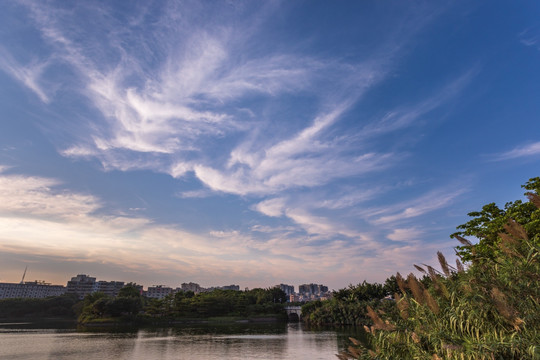 湖泊湿地花都胡