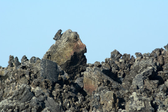 火烧山