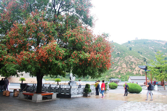 绥中九门口明长城景区