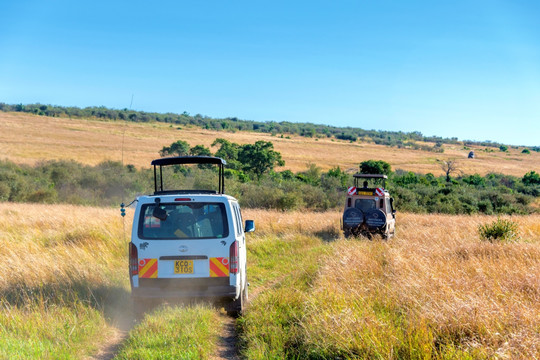 非洲肯尼亚安博塞利国家公园