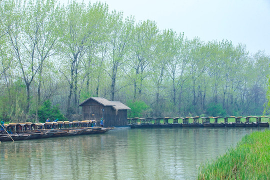 江苏溱湖湿地