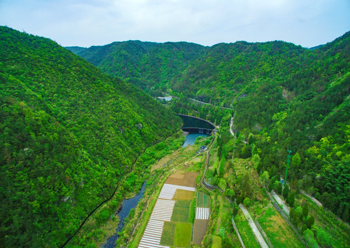 龙溪乡