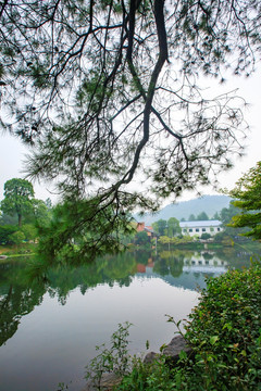 安吉中南百草原