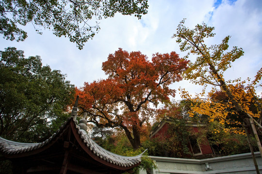 新昌大佛寺