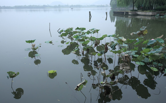 柯岩风景区