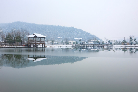 雪景