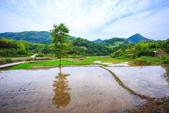 户外风景