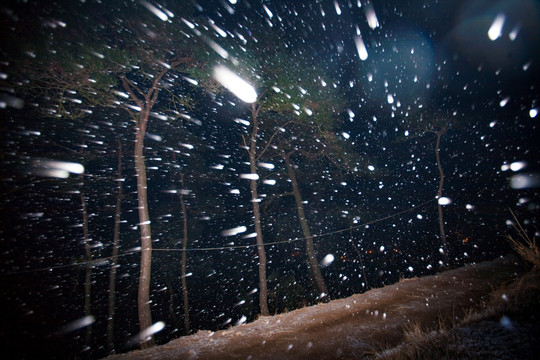 户外雪景