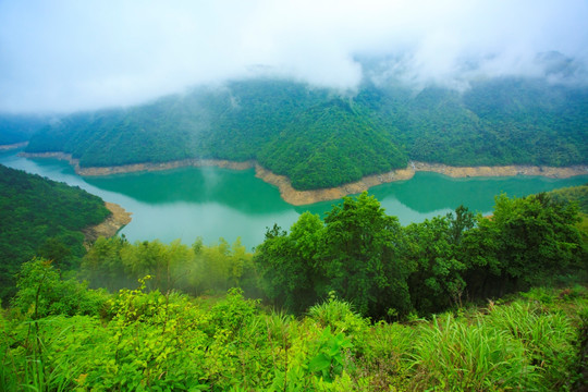 青山绿水